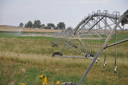 Farm and Ranch in Twin Falls County, Idaho