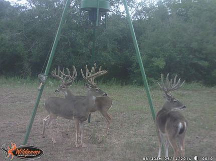 Land in Victoria County, Texas