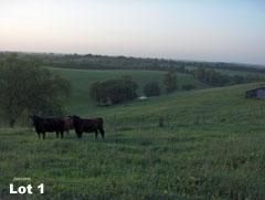 Farm and Ranch in Fleming County, Kentucky