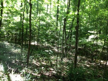 Land in Grainger County, Tennessee