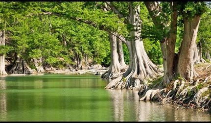 Land in Kendall County, Texas