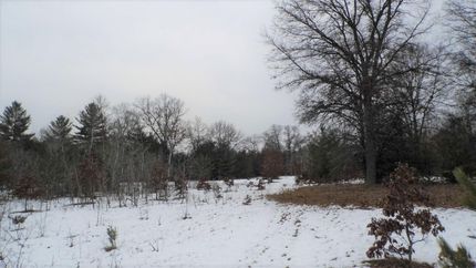 Undeveloped Land in Arenac County, Michigan