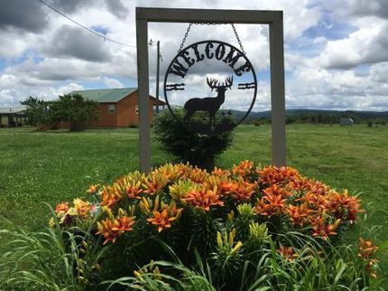 Farm and Ranch in Searcy County, Arkansas
