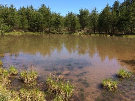 Farm and Ranch in Steuben County, New York