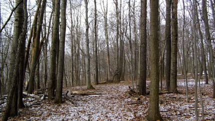 Land in Lapeer County, Michigan