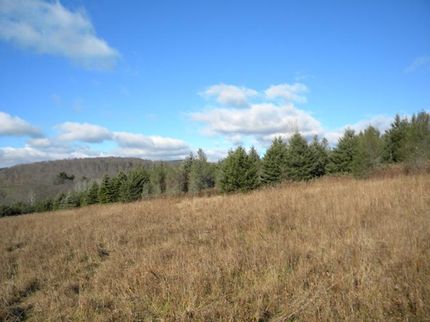 Farm and Ranch in Tioga County, New York