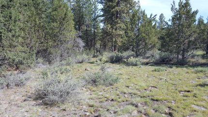 Undeveloped Land in Klamath County, Oregon