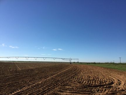 Undeveloped Land in Lynn County, Texas