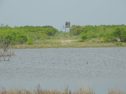 Farm and Ranch in Webb County, Texas
