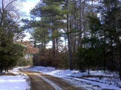Farm and Ranch in Dallas County, Arkansas