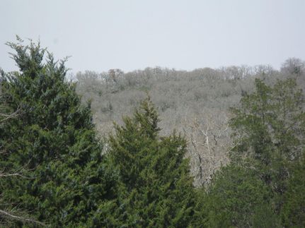 Farm and Ranch in Milam County, Texas