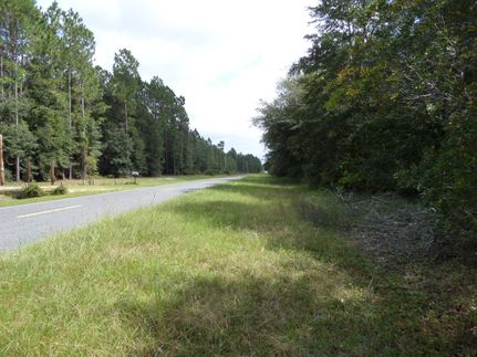 Farm and Ranch in Wayne County, Georgia