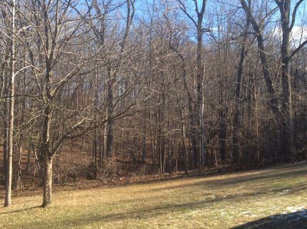 Land in Morgan County, West Virginia