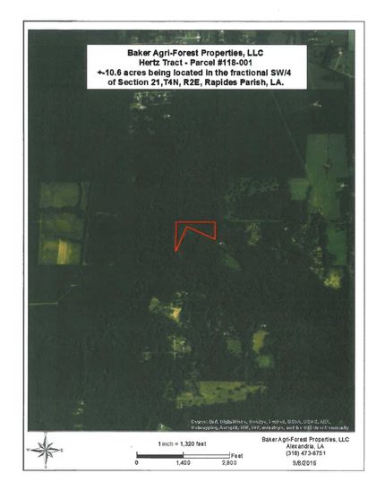 Timberland Property in Rapides Parish, Louisiana