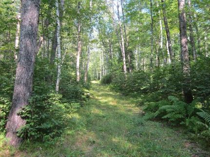 Farm and Ranch in Oneida County, Wisconsin