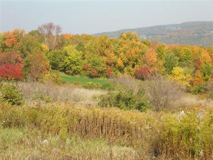 Farm and Ranch in Otsego County, New York