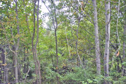 Recreational Property in Montgomery County, Virginia