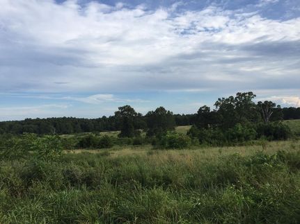 Farm and Ranch in Howell County, Missouri