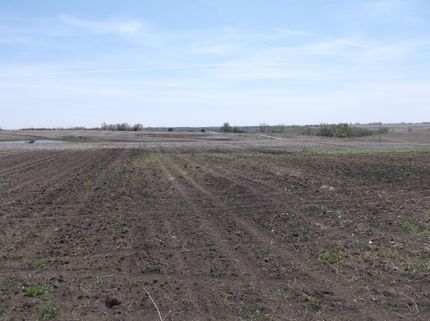Farm and Ranch in Wayne County, Iowa