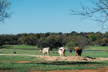Recreational Property in Llano County, Texas