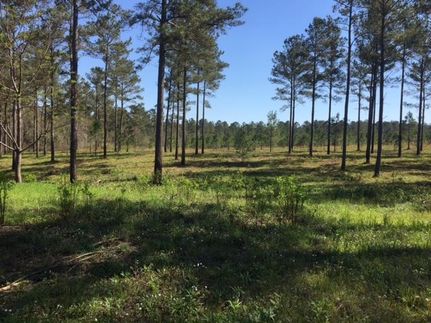 Farm and Ranch in Decatur County, Georgia