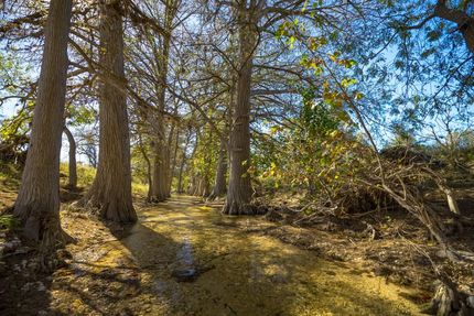 Farm and Ranch in Kendall County, Texas