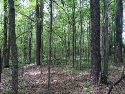 Farm and Ranch in Oglethorpe County, Georgia