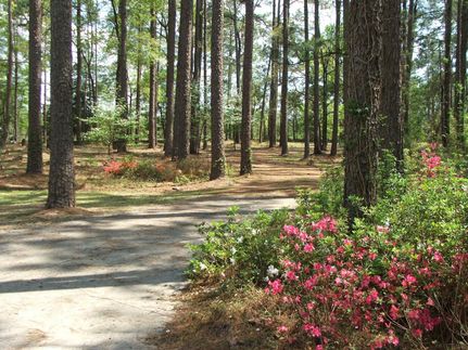 Land in Screven County, Georgia