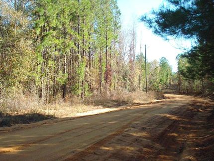 Farm and Ranch in Hale County, Alabama