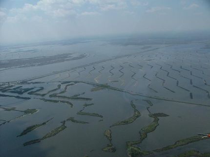 Land in Cameron Parish, Louisiana