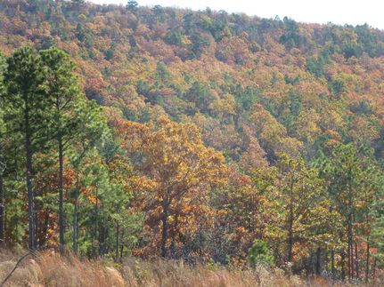 Farm and Ranch in Latimer County, Oklahoma