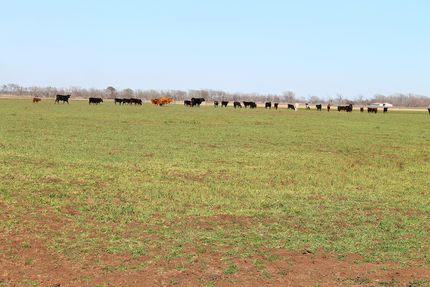 Farm and Ranch in Brazos County, Texas