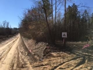 Timberland Property in Union Parish, Louisiana