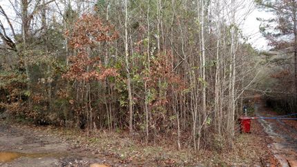 Horse Property in Marion County, Texas