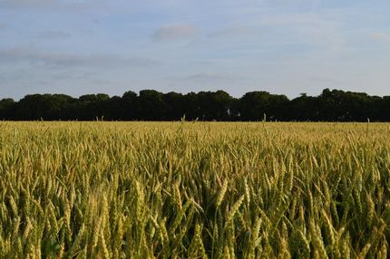 Land in Fannin County, Texas