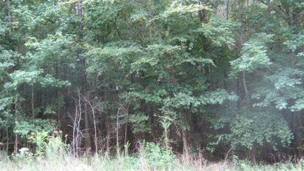 Recreational Property in Lafayette County, Mississippi