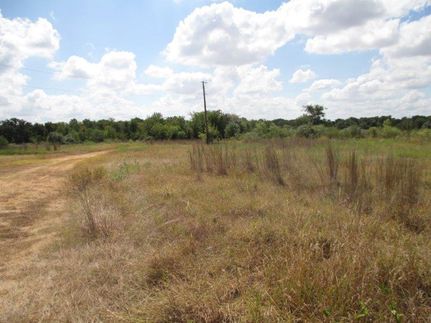 Undeveloped Land in Milam County, Texas