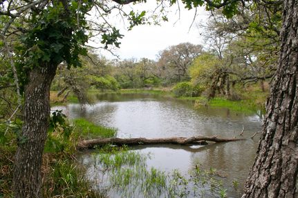 Undeveloped Land in Lavaca County, Texas