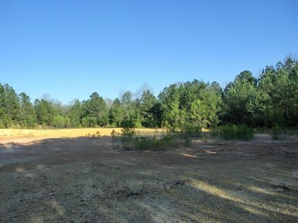 Farm and Ranch in Lamar County, Mississippi