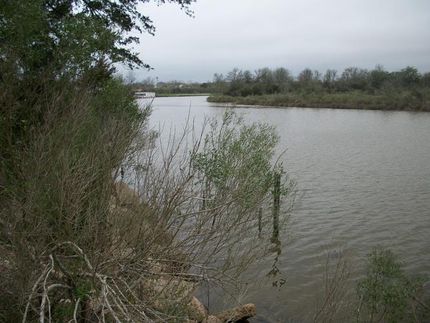 Oceanfront Property in Brazoria County, Texas