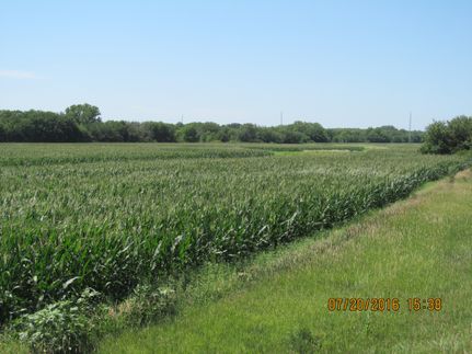 Timberland Property in Lancaster County, Nebraska