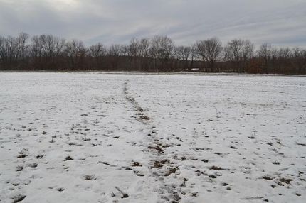 Farm and Ranch in Chariton County, Missouri
