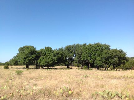 Land in Taylor County, Texas