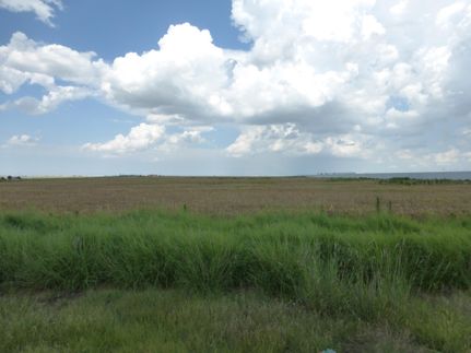 Farm and Ranch in Randall County, Texas
