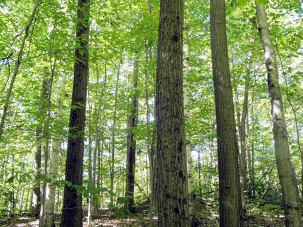 Farm and Ranch in Washington County, New York