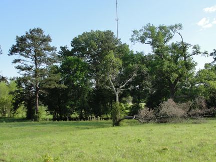 Farm and Ranch in Houston County, Texas