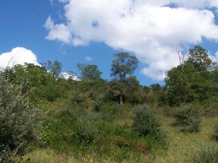 Land in Carroll County, Virginia
