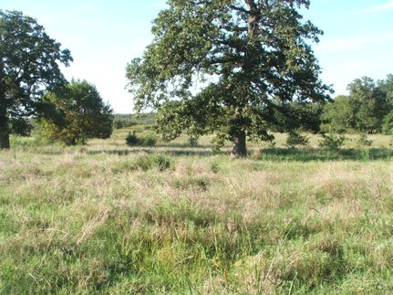 Farm and Ranch in Coal County, Oklahoma