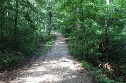 Timberland Property in Hocking County, Ohio