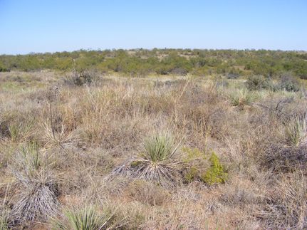 Farm and Ranch in Fisher County, Texas